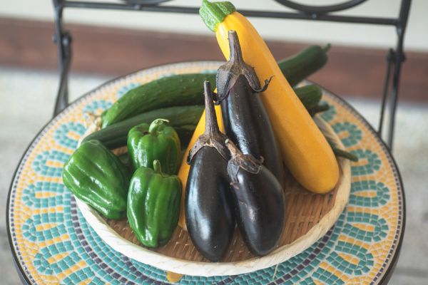 女将が育てた野菜