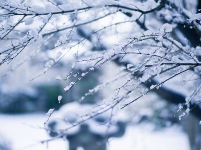 静寂の雪景色