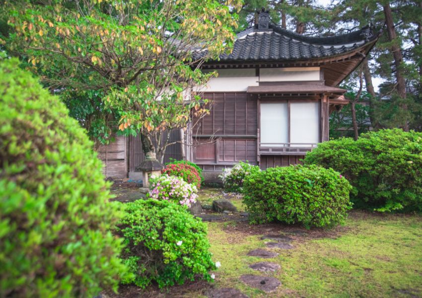 The Japanese garden showing seasonal beauty