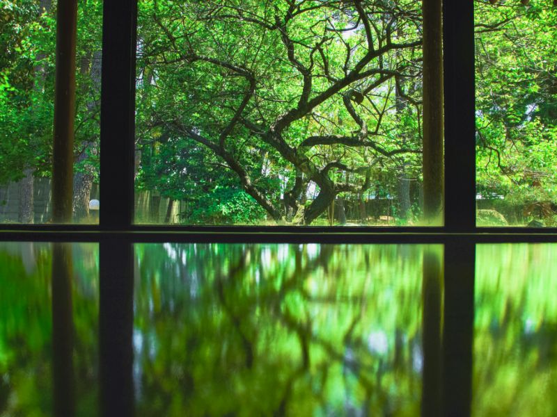 Onsen with a view of the summer garden