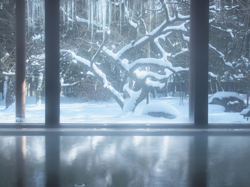 Onsen with a view of the winter garden