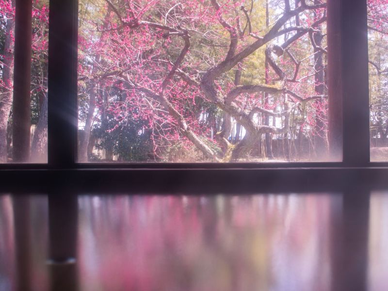 Spring snowscape and onsen